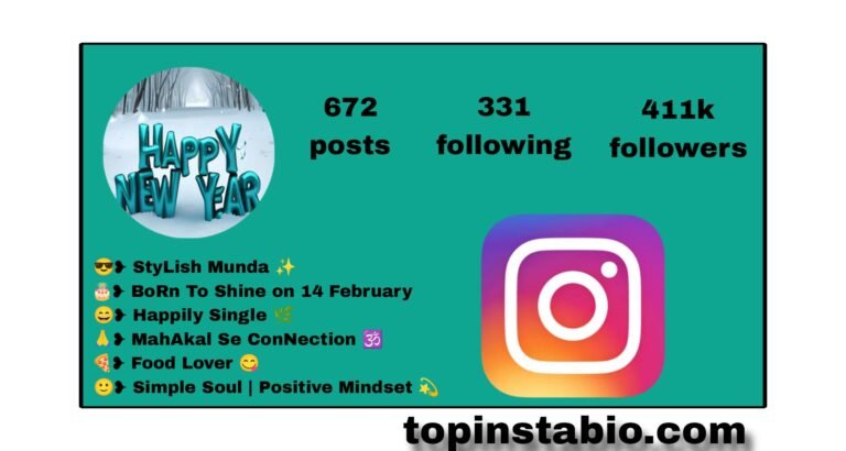 Letest 198+ New Year Bio For Instagram For Girls And Boys