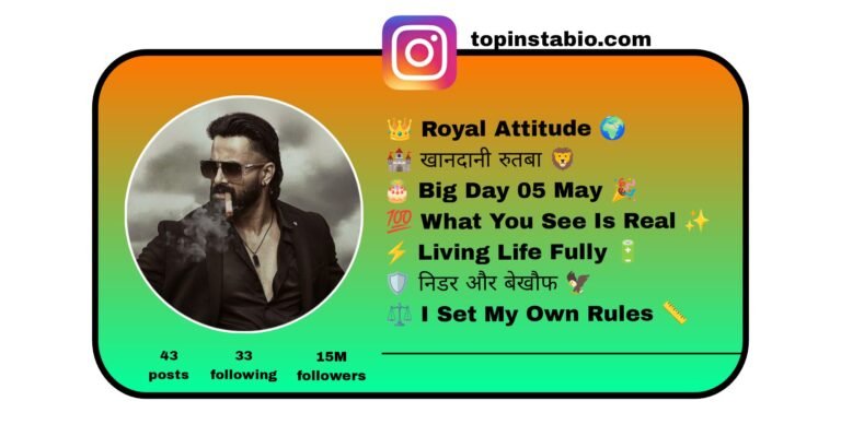 King Style Gangster Bio For Instagram